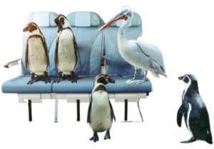 Progetto senza titolo (2)