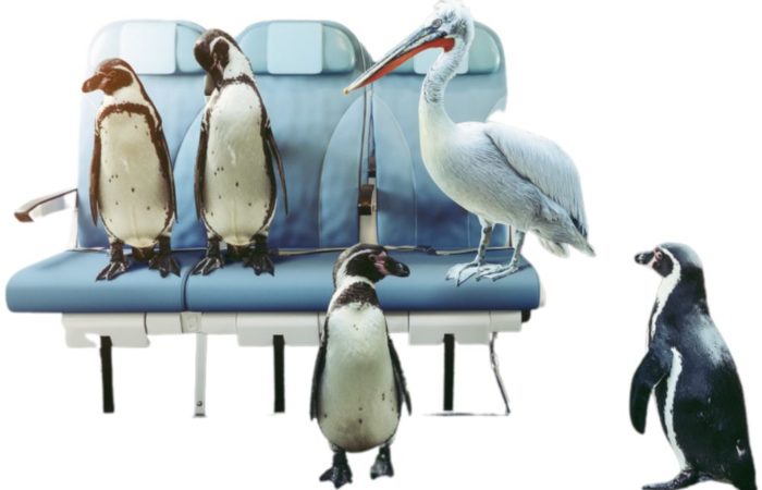 Progetto senza titolo (2) Progetto senza titolo (2)